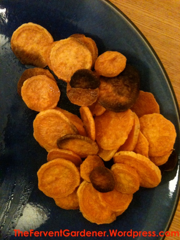Sweet Potato disks