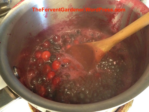 Cranberry blueberry sauce